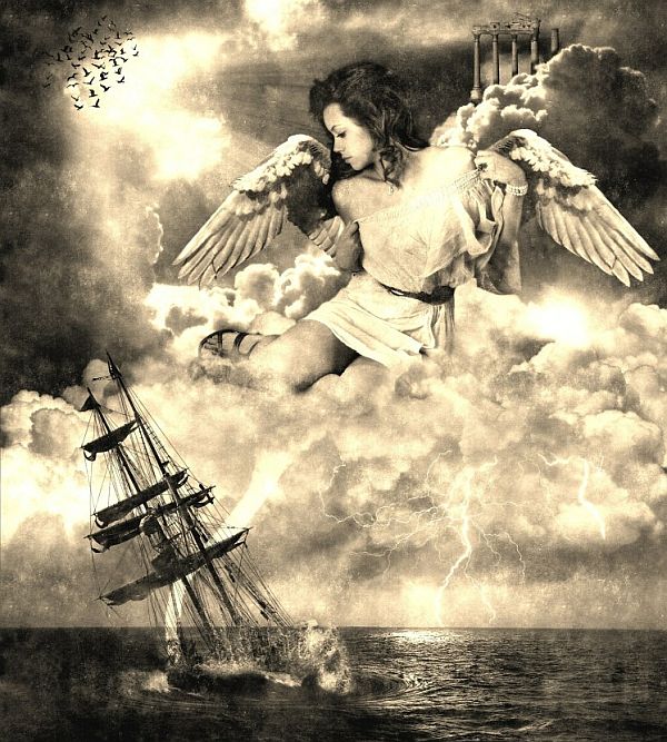Hurricanes, Angels and Geese sailing vessel