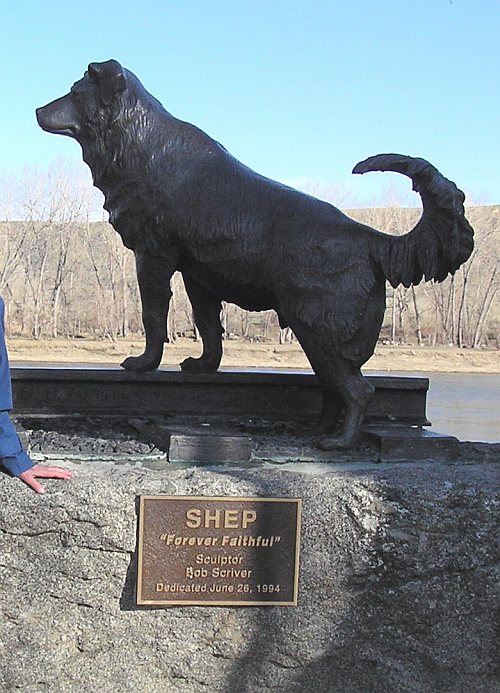 Shep: Dog of Benton shep-dog-of-benton