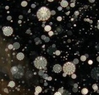 Orbs