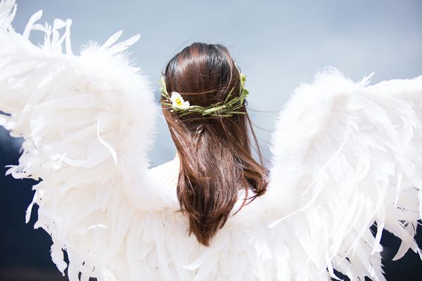 The Gentle Unfoldment Of Wings The Gentle Unfoldment Of Wings