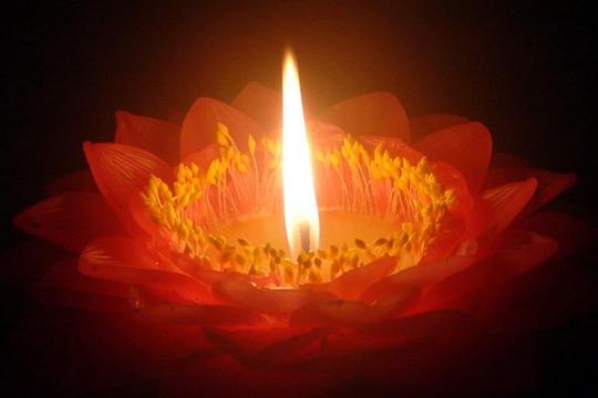 lotus-with-candle
