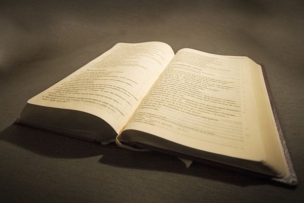 Are Holy Scriptures Infallible?