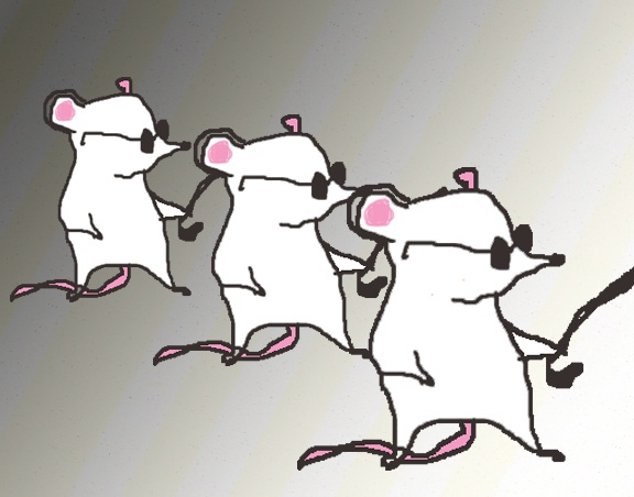 three-blind-mice