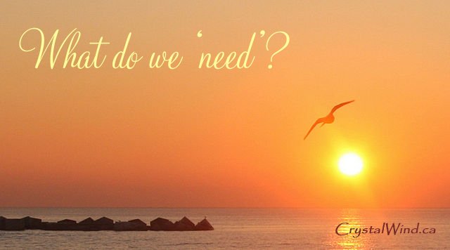 What do we "need"? whatdoweneed