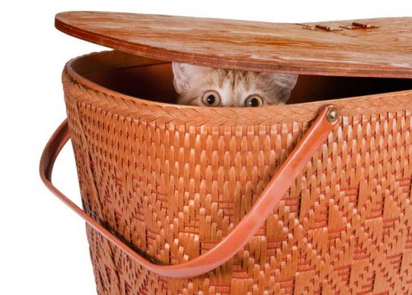 cat-hiding-in-basket