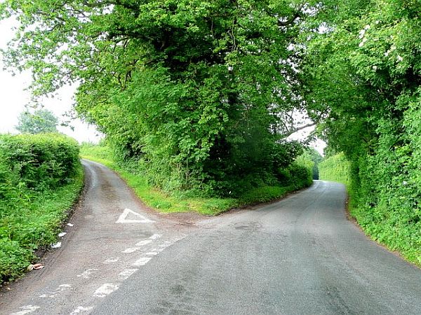 Forks in the Road and New Foundations