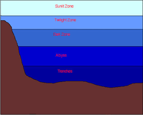 Layers of Ocean - Source: Kiran's Science Fair layers-of-ocean