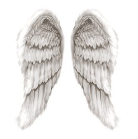 Angel Wings trinity of blessings teri helton
