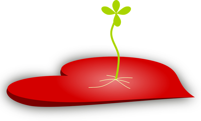Acceptance vs Assertion Acceptance vs Assertion