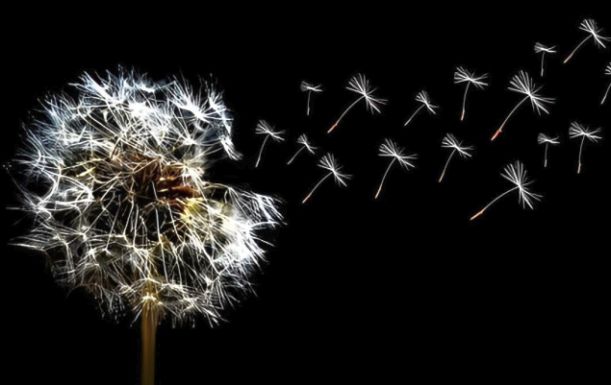 Why Hope Matters Why Hope Matters
