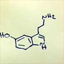 serotonin