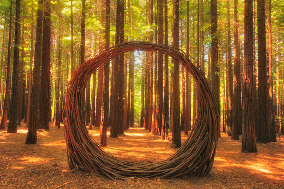 Expanding Your Perspective - Goddess of Creation Expanding Your Perspective - Goddess of Creation