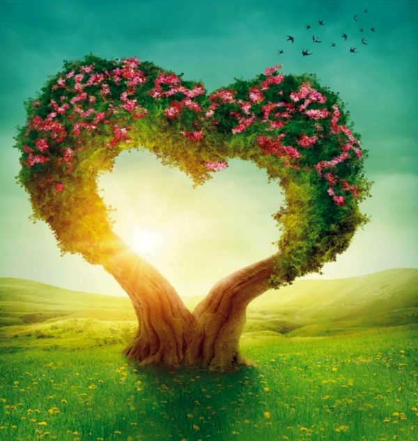 Daily Message, February 14, 2022 - Goddess of Creation Daily Message, February 14, 2022 - Goddess of Creation