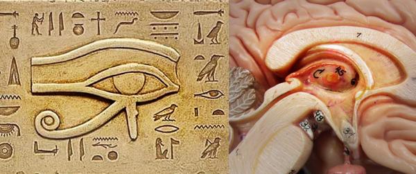 eye-of-hours