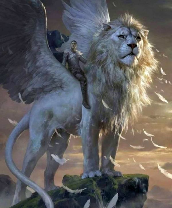 Galactic Wisdom: Star Navigation 101 and the Lions Gate Galactic Wisdom: Star Navigation 101 and the Lions Gate