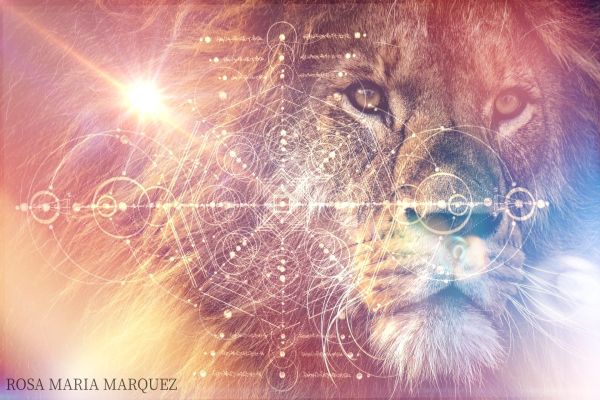 Lions Gate 2022: Transformation And Expansion In A New Cycle Of Space/Time