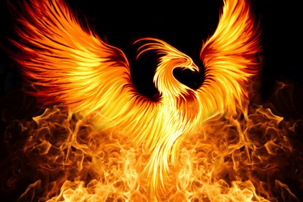 The Flight of the Phoenix, The Golden Bridge and the 11/11 Portal - Archangel Michael