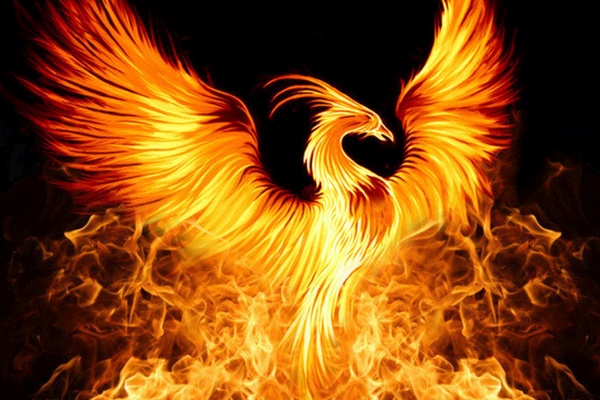The Flight of the Phoenix, The Golden Bridge and the 11/11 Portal - Archangel Michael The Flight of the Phoenix, The Golden Bridge and the 11/11 Portal - Archangel Michael