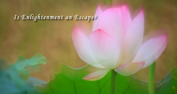 enlightenment-an-escape