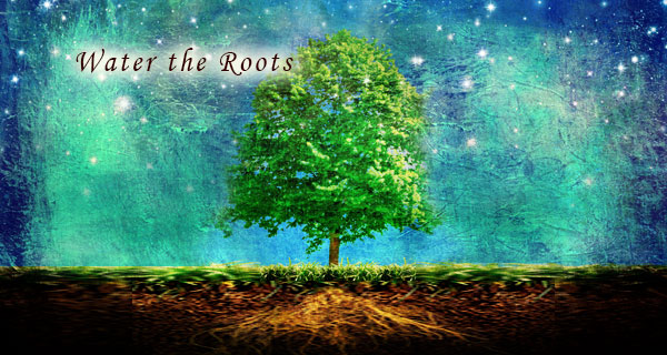 water-the-roots
