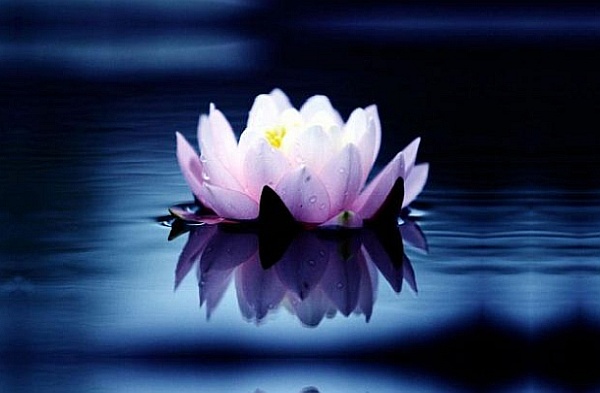 Higher Self Teaching on Wholeness Higher Self Teaching on Wholeness