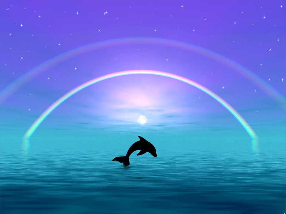 dolphin-energy