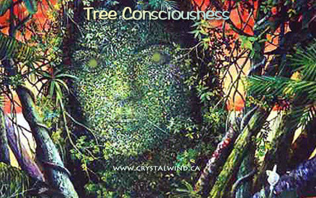 tree consciousness