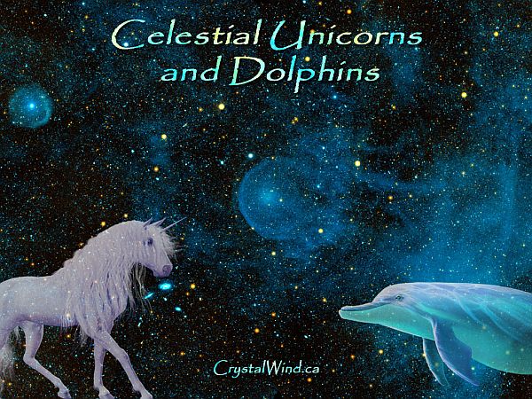 Imprinting the Magnificence of the Creator by the Celestial Unicorns and Dolphins