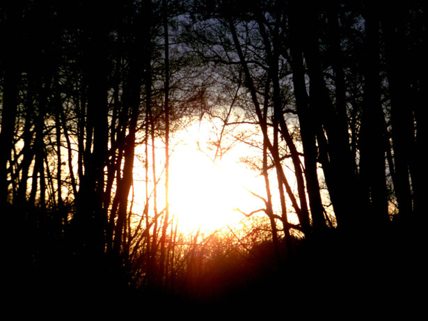 Channeled Message ~ Betwixt and Between Channeled Message ~ Betwixt and Between