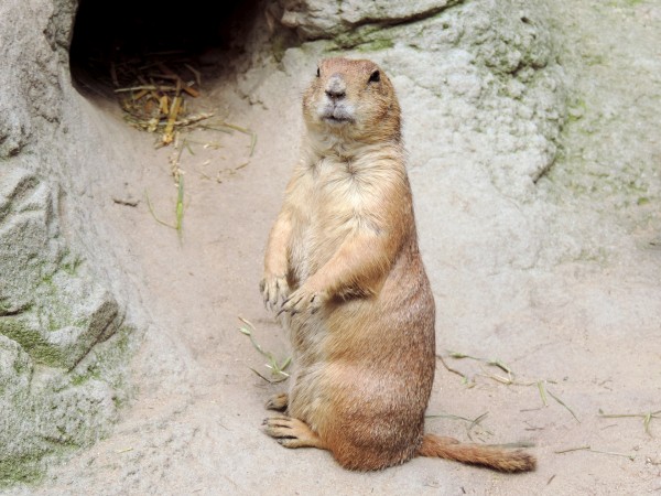Channeled Message: Good-bye Hibernation Channeled Message: Good-bye Hibernation