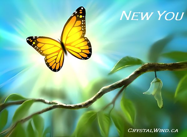 Channeled Message ~ New You HUMAN