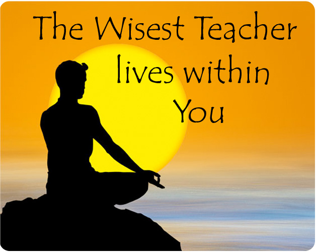 wise-teacher