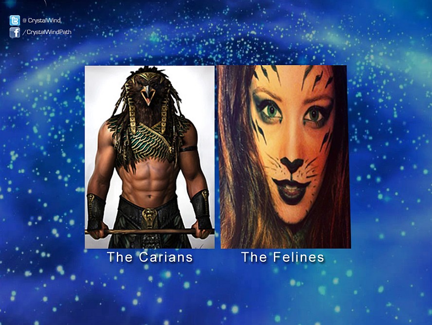 carians-and-felines-crystalwind.ca