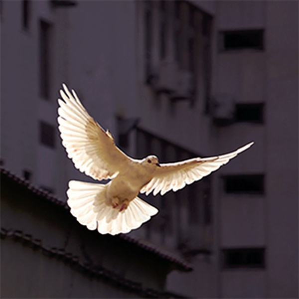 Soul and Spirit - Archangel Uriel Soul and Spirit - Archangel Uriel