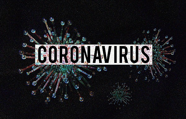 The Corona Virus: The Bigger Picture
