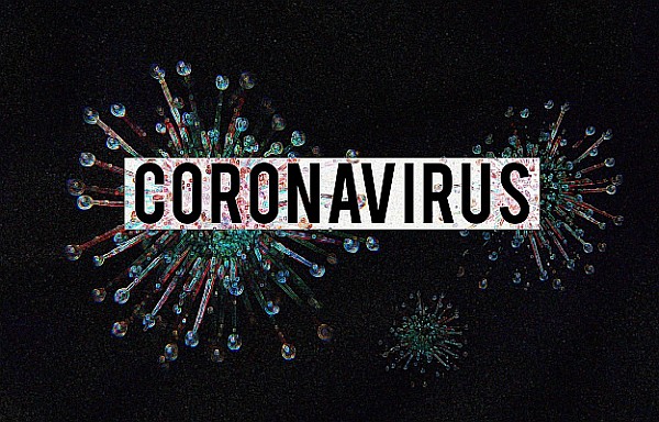 The Corona Virus: The Bigger Picture The Corona Virus: The Bigger Picture