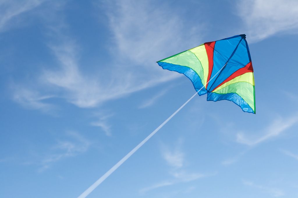 The Dynamics Of Fear In Fear Inducing Times kite