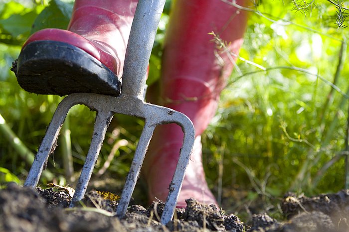 Tilling the Soil For A Great Harvest tilling