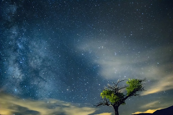 Is The Universe Real? Yes, No, Maybe So! Is The Universe Real? Yes, No, Maybe So!