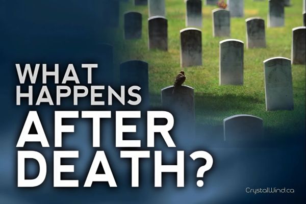 What Happens After Death? What Happens After Death?