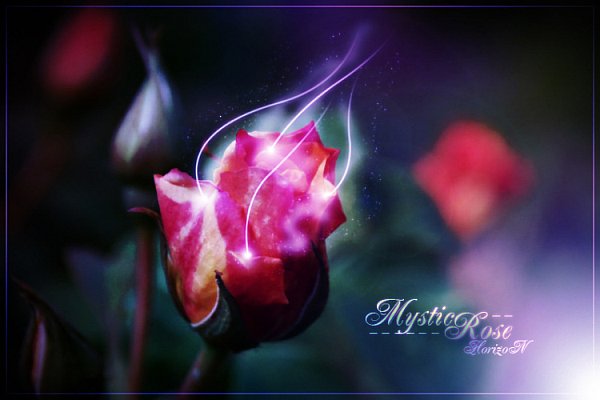 The High Path of the Mystic Rose mystic_rose.jpg