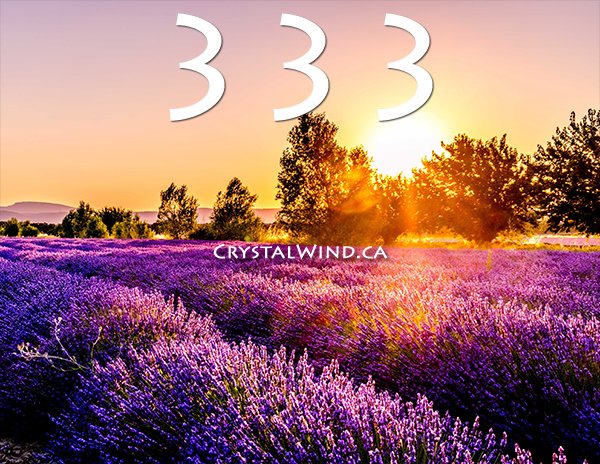 333 ~ March 3, 2019 ~ Get Ready For Your Personal Revolution ~ 333