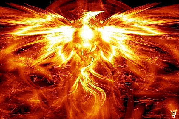 phoenix rising from the ashes