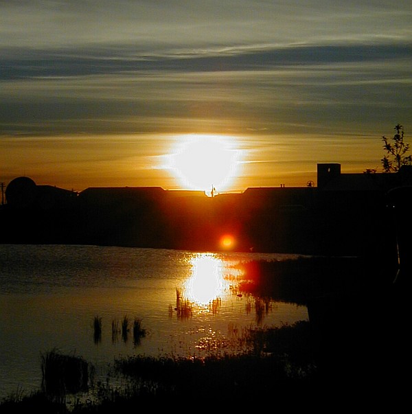 Summer Solstice, June 21, 2021 ~ TRANSFORMATION Summer Solstice, June 21, 2021 ~ TRANSFORMATION