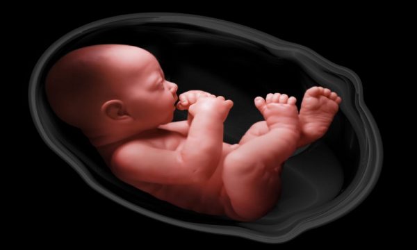 Speaking to a Child in the Womb - Part Two