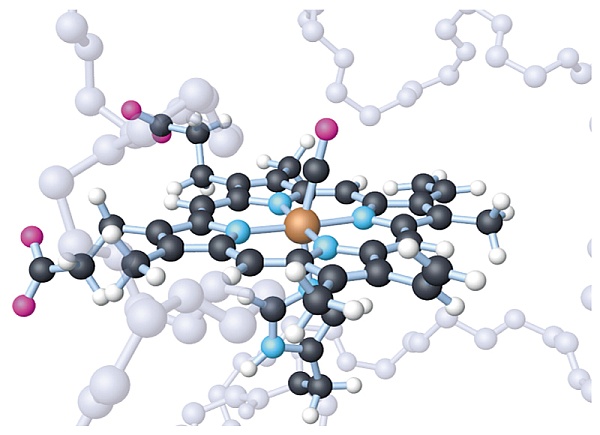 Rock Music and the Molecular Structure of Our Cells