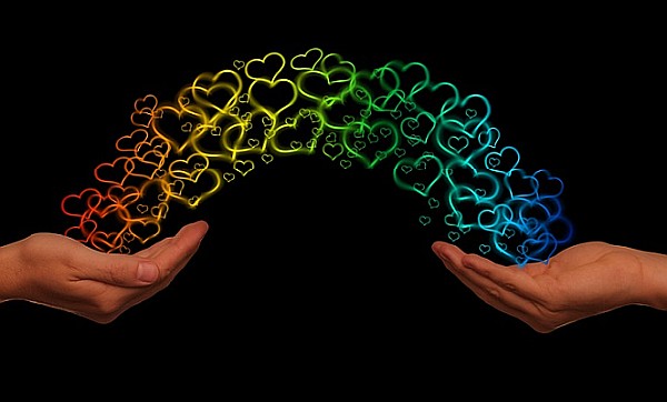 Mental Illness - Physical Illness, an Opportunity to Serve? Mental Illness - Physical Illness, an Opportunity to Serve?