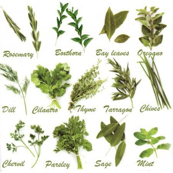 Herbs