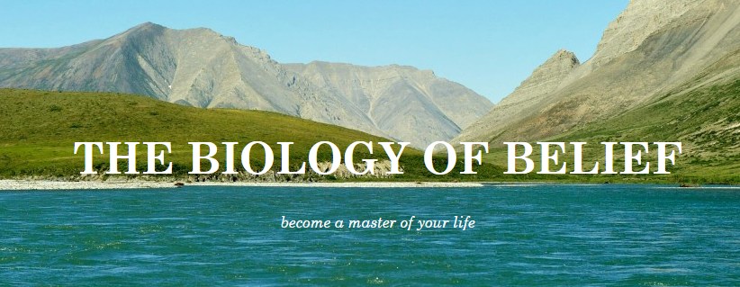 biology-of-belief