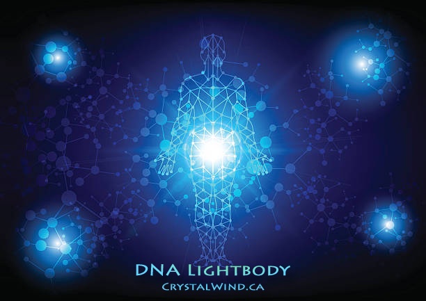 DNA LIGHTBODY: Hormonal System Re-Writes in Progress